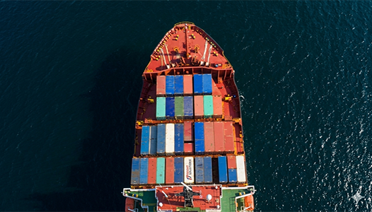 Gemini_Generated_Image_16tmn016tmn016tm